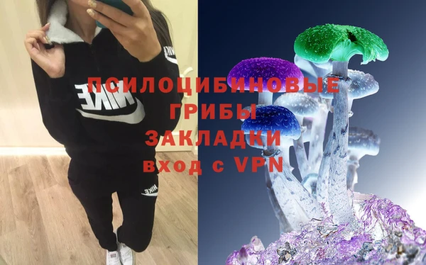 spice Алексин
