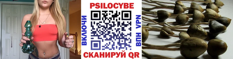 Галлюциногенные грибы ЛСД  Болотное 